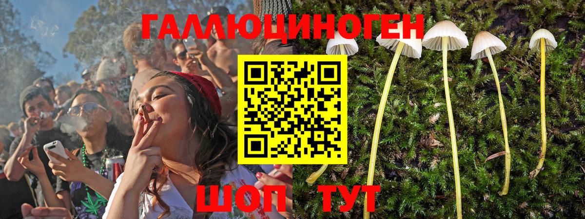 Псилоцибиновые грибы мухоморы Нарьян-Мар