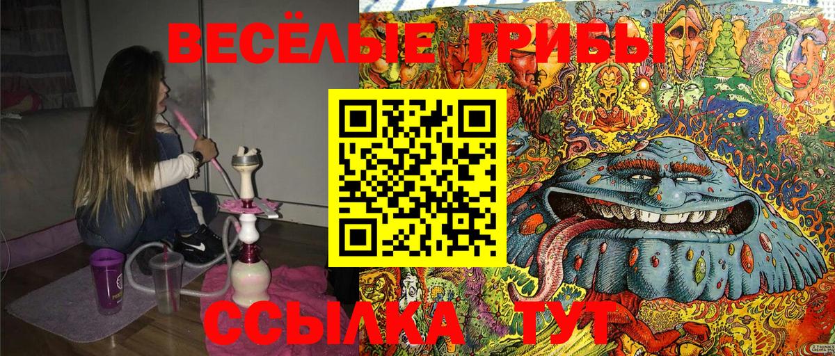 Псилоцибиновые грибы Magic Shrooms  Вход с VPN  Галлюциногенные грибы Cubensis  Нарьян-Мар 